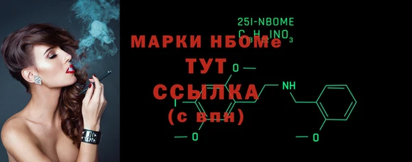 индика Нефтекумск